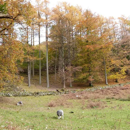 Cherry - Woodland Tatil Evi