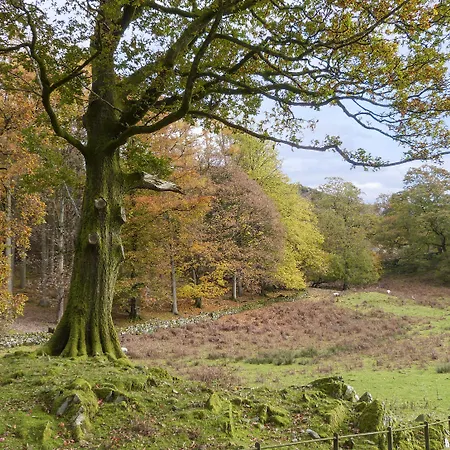 Cherry - Woodland * Bowness-on-Windermere