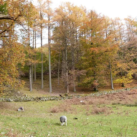 Cherry - Woodland * Bowness-on-Windermere