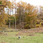 Cherry - Woodland * Bowness-on-Windermere